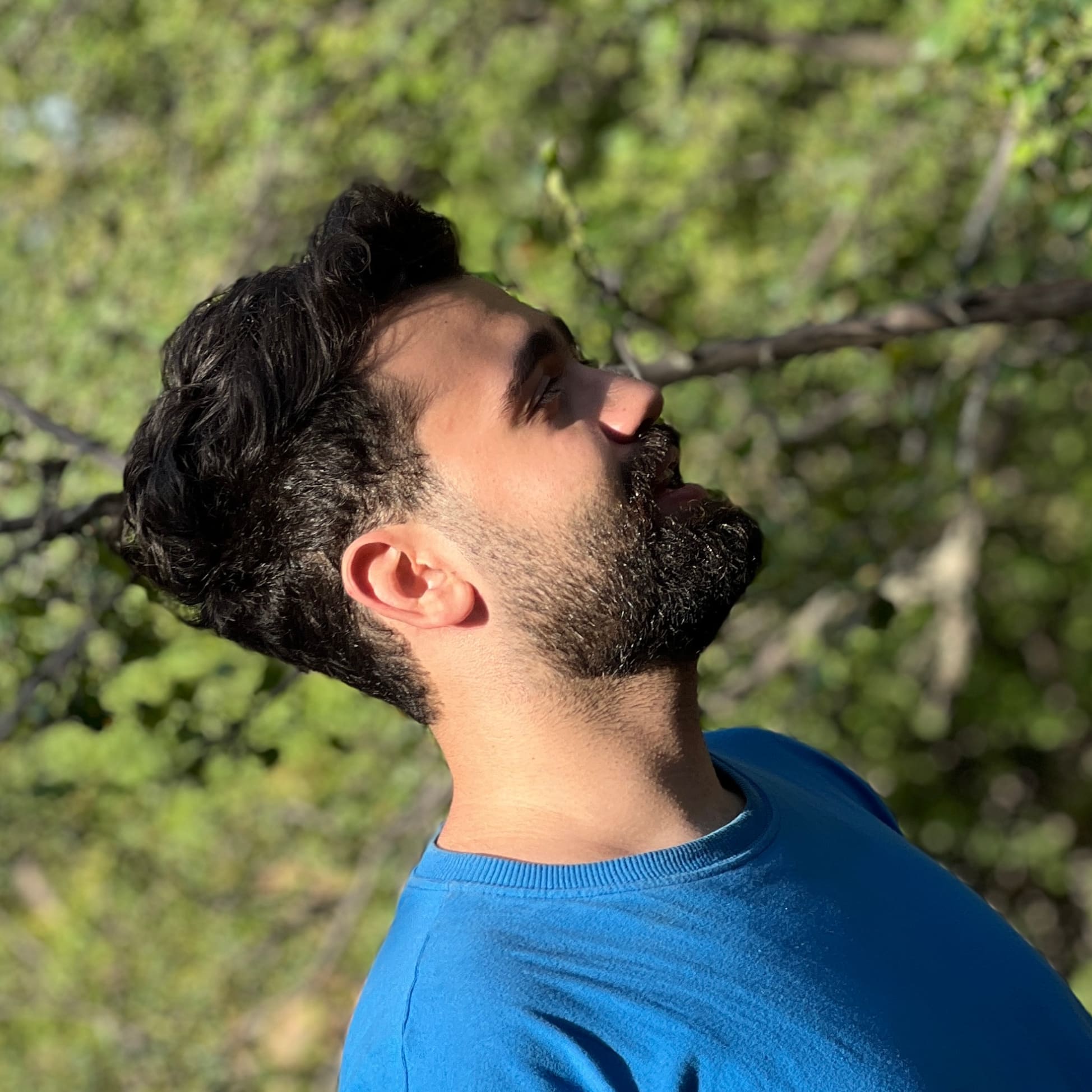 علیرضا مقدم